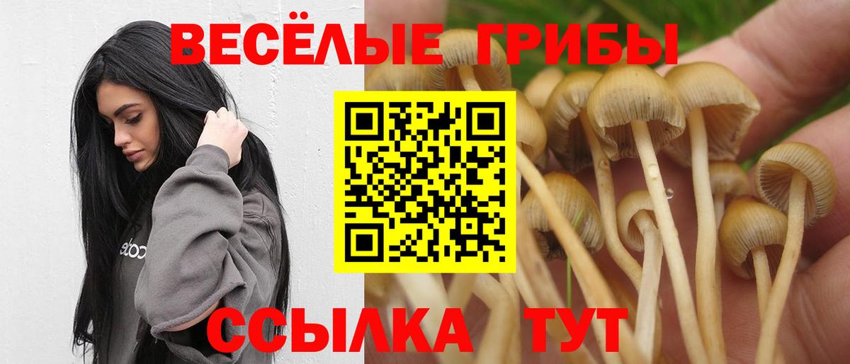 Псилоцибиновые грибы Magic Shrooms  Вход с VPN  где продают наркотики  Саянск 